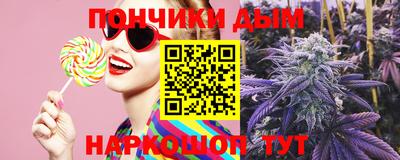 гашик Шебекино